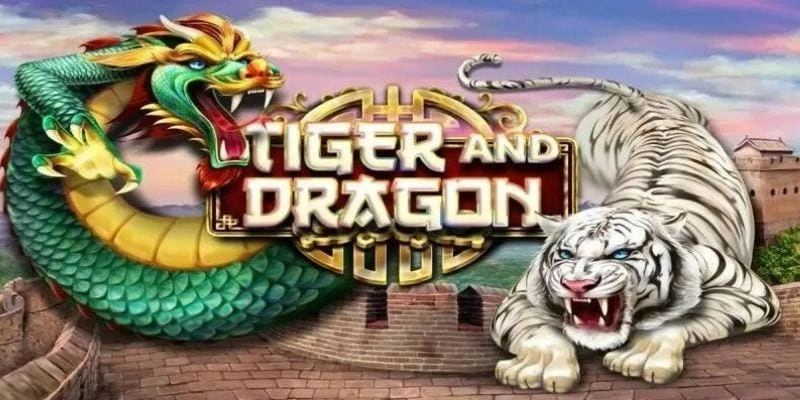 Các Thắc Mắc Thường Gặp khi Chơi Rồng Hổ tại B52