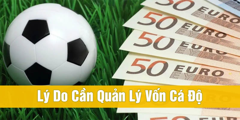 Hiểu Rõ Khái Niệm Cách Quản Lý Vốn Cá Cược