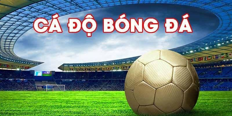 Một số mẹo nhỏ giúp cược thắng trong kèo phụ (over/under, kèo bo) tại B52